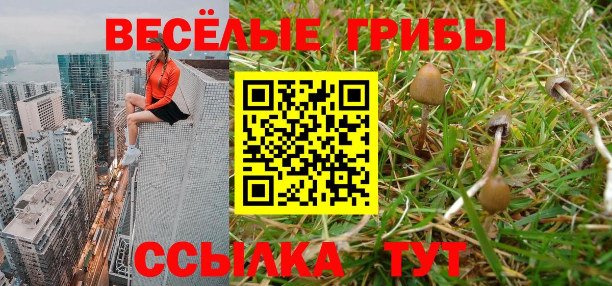 Псилоцибиновые грибы MAGIC MUSHROOMS  Вход с VPN  Бугуруслан  Псилоцибиновые грибы Psilocybe 