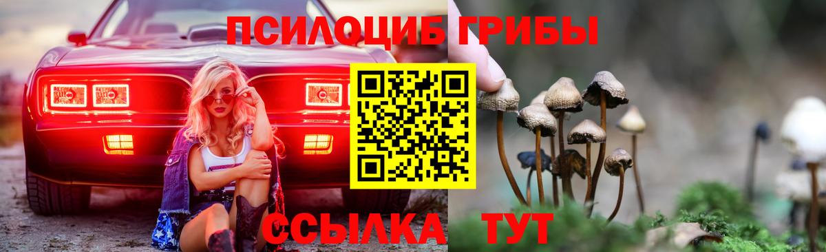 Псилоцибиновые грибы мицелий Бугуруслан